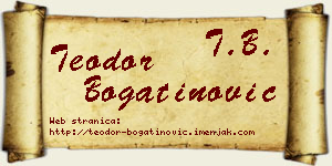 Teodor Bogatinović vizit kartica